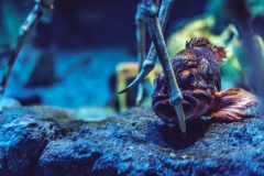 sans titre (12 sur 38)