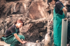 sans titre (5 sur 38)