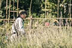 sans titre (33 sur 38)