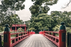 sans titre (1 sur 2)