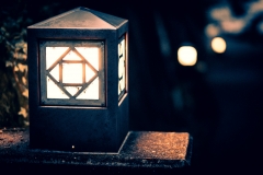 sans titre (8 sur 21)