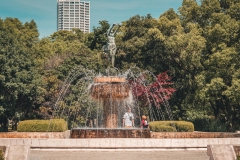 sans titre (5 sur 19)