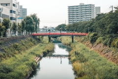 _DSF9752-Panorama