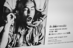 sans titre (12 sur 24)