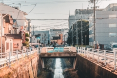_DSF9898