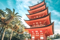 sans titre (10 sur 19)