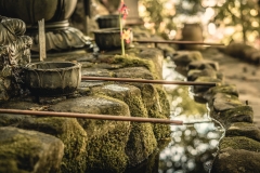 sans titre (13 sur 19)