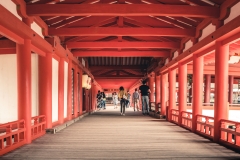 sans titre (14 sur 19)