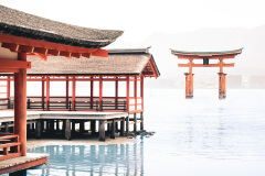 sans titre (15 sur 19)