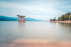 sans titre (17 sur 19)