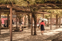 sans titre (2 sur 19)