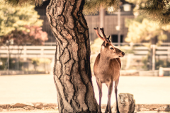 sans titre (5 sur 19)