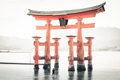 sans titre (9 sur 19)