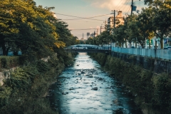 _DSF9922
