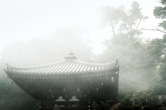 sans titre (18 sur 19)