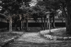 _DSF2519