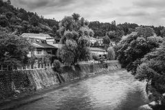 _DSF2537-Panorama