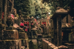 _DSF0484-Panorama-Modifier