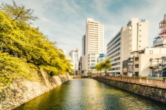 _DSF2704-Panorama-Modifier