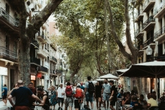DSC01719-Panorama-Modifier