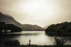 283788_221797527943156_574814301_n-3-Modifier