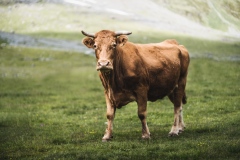 DSC01028-Modifier